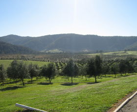 Hastings Valley Olives - Tourism Townsville 0