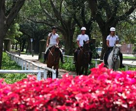 Centennial Parklands Horse Ride - Tourism Townsville 1