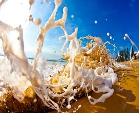Saltmotion Gallery - Tourism Townsville 1