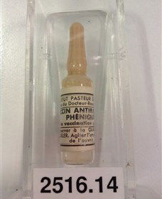 Museum Of Human Disease - Tourism Townsville 2