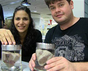 Museum Of Human Disease - Tourism Townsville 1