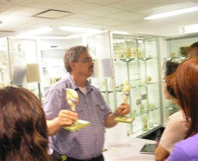Museum Of Human Disease - Tourism Townsville 3