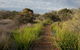 North Head Sanctuary - thumb 2