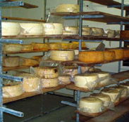 Harvey Cheese - Tourism Townsville