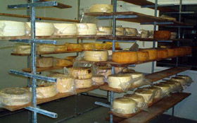 Harvey Cheese - Tourism Townsville 0