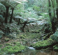 The Corn Trail Walk - Tourism Townsville