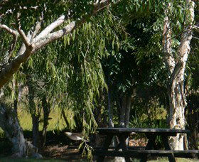 Casino NSW Tourism Townsville