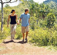 Hoddles Track - Tourism Townsville