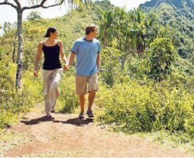 Hoddles Track - Tourism Townsville 0