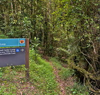 Red Cedar loop - Tourism Townsville