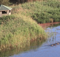 Spring Creek Bird Hide - Tourism Townsville