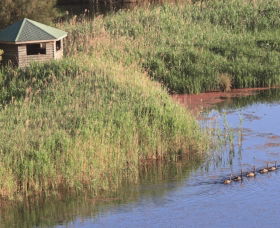 Spring Creek Bird Hide - Tourism Townsville 0