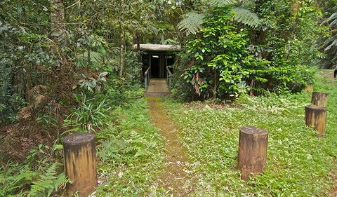 Brindle Creek Picnic Area - Tourism Townsville 0