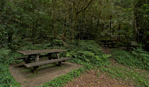 Brindle Creek Picnic Area - Tourism Townsville 2