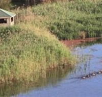 Spring Creek Wetlands Walk - Tourism Townsville