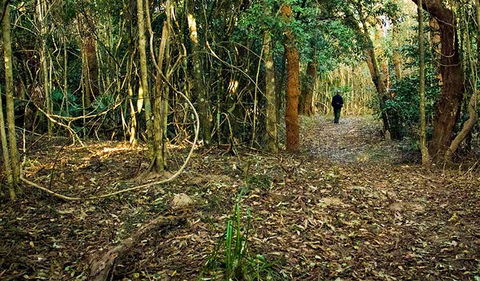 Sand Track Walk (north) - Tourism Townsville 0