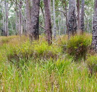 Narrawallee Inlet walking track - Tourism Townsville