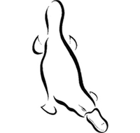 Platypus Gallery - Tourism Townsville