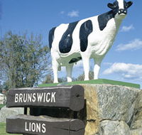 Brunswick Cow - Tourism Townsville