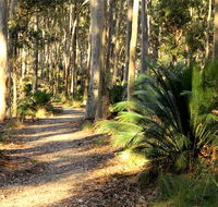 Square Head track 2 - Tourism Townsville