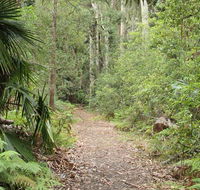 Lake walking track - Tourism Townsville