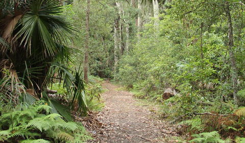 Lake Walking Track - Tourism Townsville 0