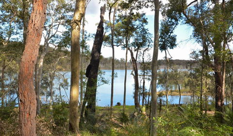 Lake Walking Track - Tourism Townsville 1