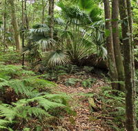 Durras Lake Discovery trail - Tourism Townsville