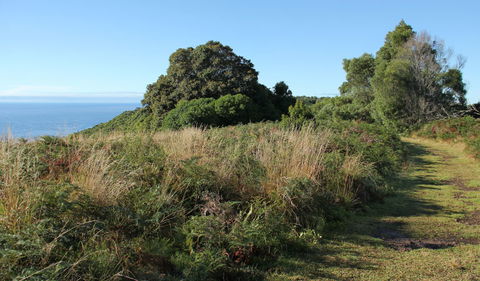 Pretty Beach To Durras Mountain Walking Track - Tourism Townsville 2