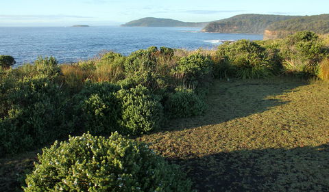 Pretty Beach To Durras Mountain Walking Track - Tourism Townsville 3