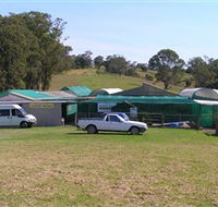 Tinonee Orchid Nursery - Tourism Townsville