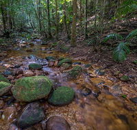 Starrs Creek picnic area - Tourism Townsville