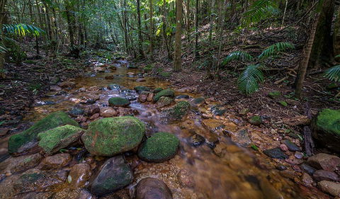 Starrs Creek Picnic Area - Tourism Townsville 0