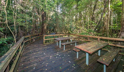 Starrs Creek Picnic Area - Tourism Townsville 1