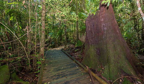 Starrs Creek Picnic Area - Tourism Townsville 2