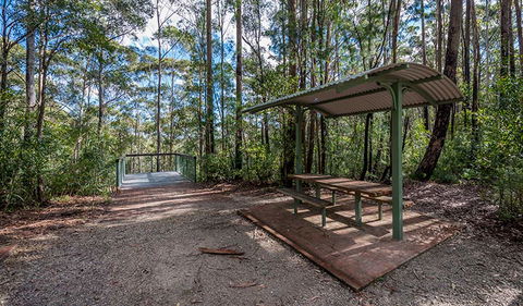 Big Nellie Lookout And Picnic Area - Tourism Townsville 0