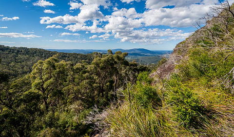Big Nellie Lookout And Picnic Area - Tourism Townsville 2
