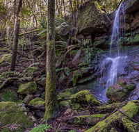 Coorabakh National Park - Tourism Townsville