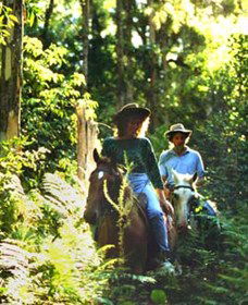 Chatham NSW Tourism Townsville