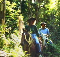 Clarendon Forest Retreat Horse Riding - Tourism Townsville