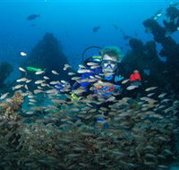 Aarhus Dive Site - Tourism Townsville