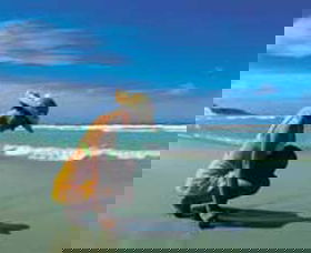 Diamond Beach - Tourism Townsville 0
