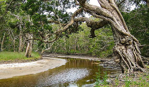 Saltwater National Park - Tourism Townsville 0