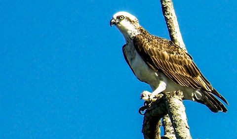 Saltwater National Park - Tourism Townsville 1