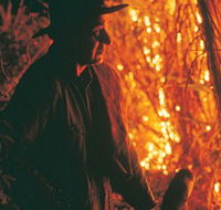 The Shed Gallery - Tourism Townsville