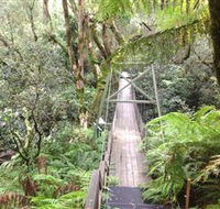 Bemm River Scenic Reserve - Tourism Townsville