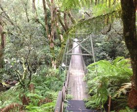 Bemm River Scenic Reserve - Tourism Townsville 0