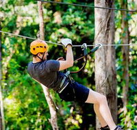 TreeTop Challenge Currumbin - Tourism Townsville