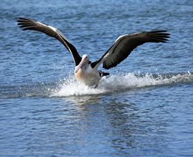 John Barton Photography - Tourism Townsville 1