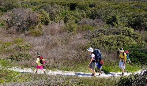Yuraygir Coastal Walk - Tourism Townsville 0